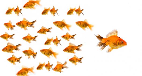 Imagem Meeting the Challenge of Disruptive Change