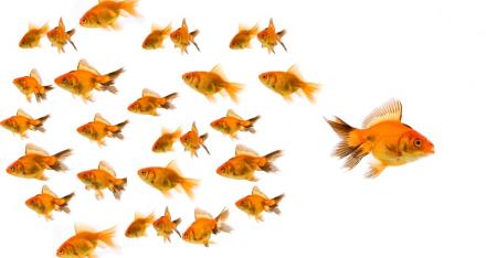 Meeting the Challenge of Disruptive Change